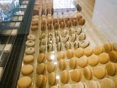 -BLACKSWAN黑天鹅(环球店)