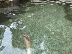 -河源客天下-温泉小镇