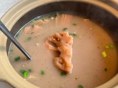 -洞庭家宴·头牌甲鱼(广渠门店)