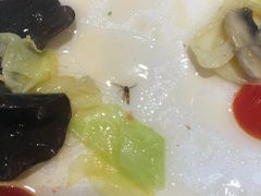 -翠华餐厅(宝安壹方城店)