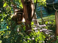 -北京鹿世界主题园