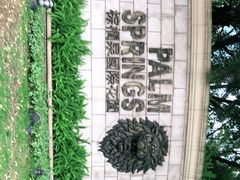 -棕榈MALL