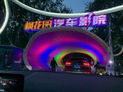 -枫花园汽车电影院(朝阳公园店)