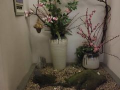 -韵道养生(古美店)