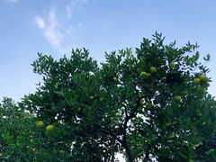 -杭州城北体育公园