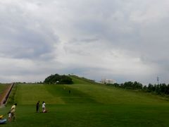 android_upload_pic-北戴河集发农业梦想王国