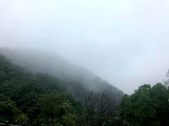 -涂山寺素食餐厅