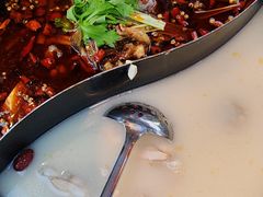 -蛙老爹·蜀香美蛙鱼头(王家湾店)