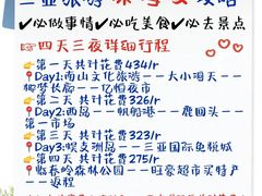 -三亚湾水产综合交易市场