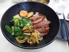 -MR鹅外