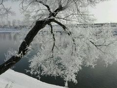 android_upload_pic-雾凇岛