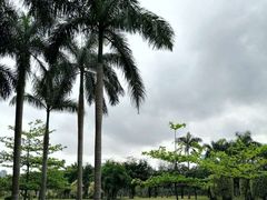 -万绿园