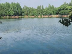 -东湖落雁景区