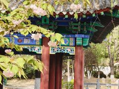 -济南国际园博园