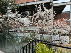 -云里小坐·小院里·团建·宴请·下午茶(三圣乡店)