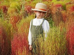 -汉长安城未央宫国家考古遗址公园