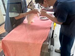 -瑞派紫金宠物医院24小时·骨科·中兽医·重症转诊中心(番禺大石院)
