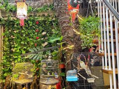 -丽江庭院·云南野生菌·海鲜火锅(鼓楼四合院店)