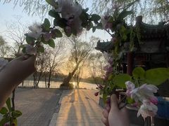 -卫鼎轩·家宴(水上公园店)