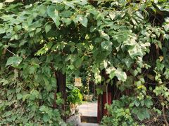 -斯多格书乡(北京大学畅春园店)