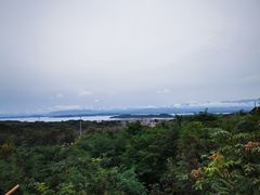 -欢乐松鼠谷