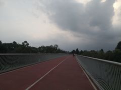 -白鹭湾湿地公园