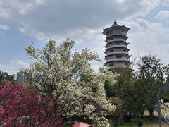 -食膳公园包子铺(烈士公园店)