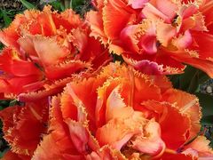 -上海植物园-4号门售票处