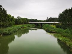 -东郊湿地公园