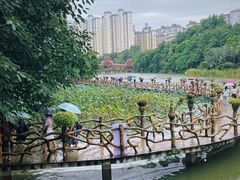 -曼听御花园