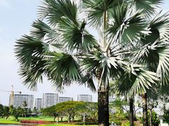 -海南鉴湖蓝湾高尔夫球会