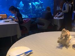 -迪拜帆船酒店海底餐厅