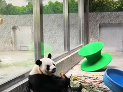 -西安秦岭野生动物园