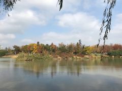 -尚贤河湿地