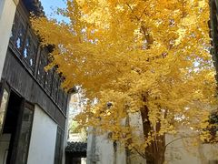 -惠山古镇·寄畅园