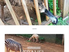 -昆明动物园