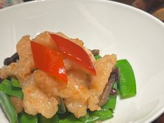 -觅唐MITONG(鸟巢店)