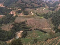 -文雅轩茶叶(锦和越界田林坊店)