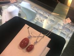 -绮丽珊瑚博物馆(台东店)