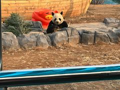 -秦皇岛野生动物园
