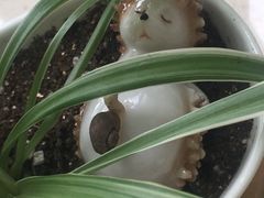 -新湖明珠城