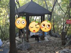 -灵隐飞来峰景区