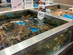 水产区-盒马鲜生(189购物中心店)