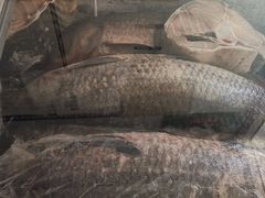 -大鹅岛灶台鱼·铁锅炖(水库路店)