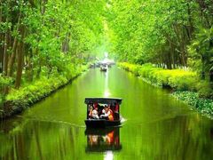 -合肥滨湖国家森林公园