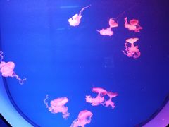 -福州罗源湾海洋世界旅游区