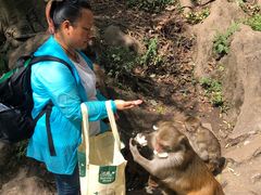 -黔灵山公园-南门售票处