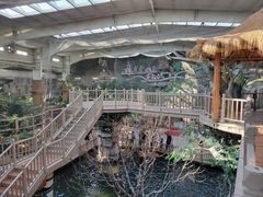 -南宫五洲植物乐园