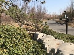 -水西公园