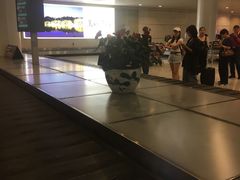 -杭州萧山国际机场
